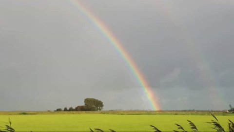 regenbogen.jpg