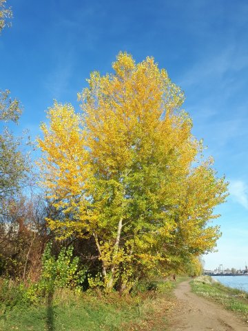 20181103_140211_resized_11.jpg
