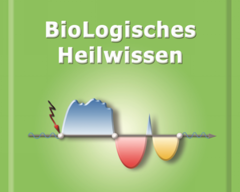 bhw-logo.png