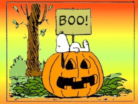 boo.jpg
