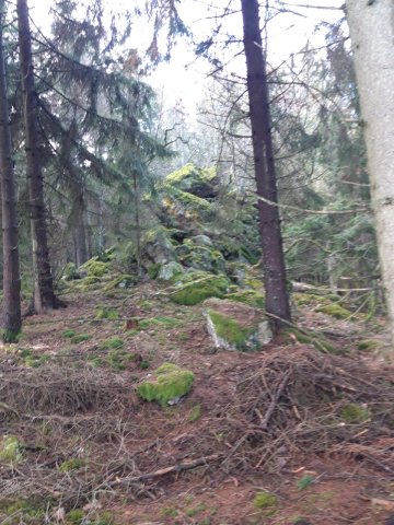damscheid_201901_02.jpg