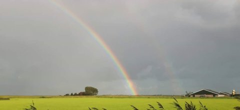 regenbogen.jpg